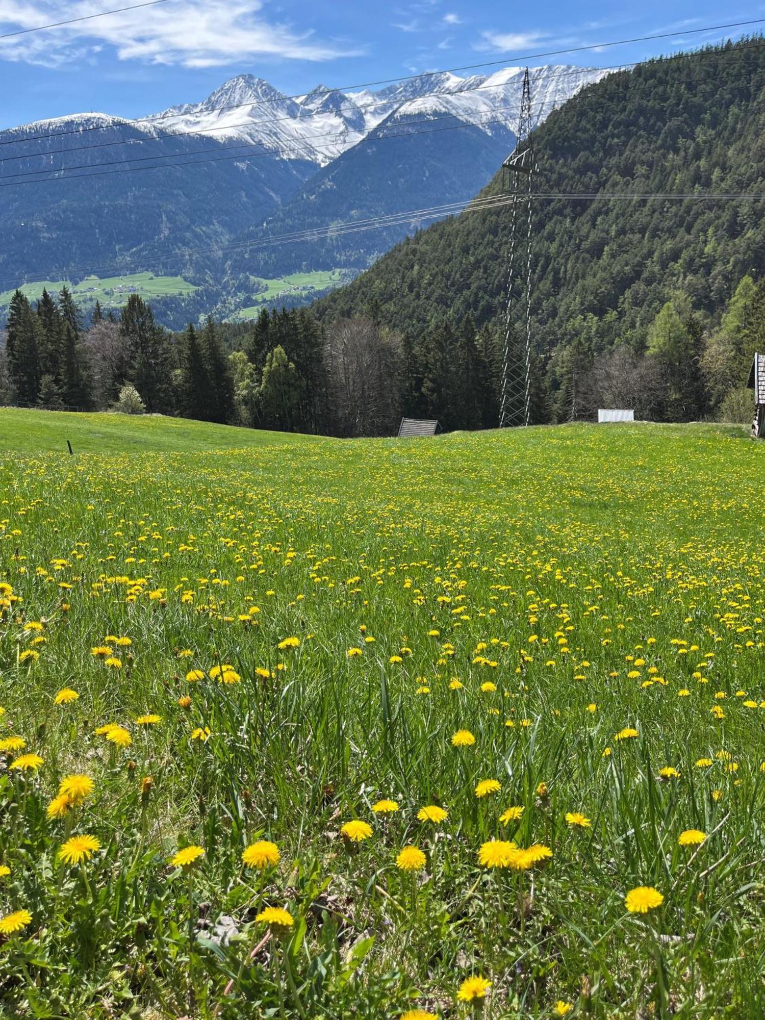 Meilerhof Reith bei Seefeld Εξωτερικό φωτογραφία