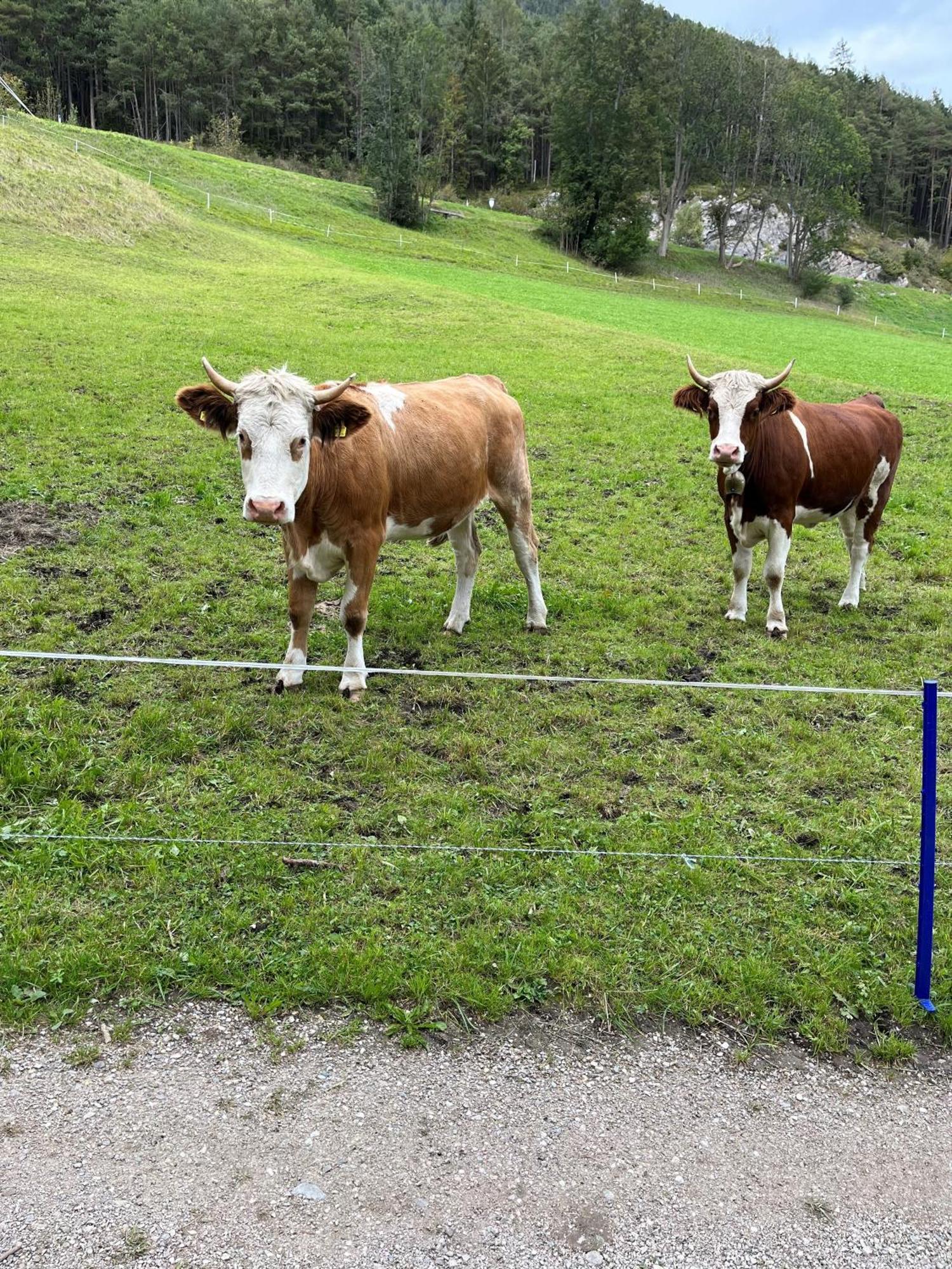 Meilerhof Reith bei Seefeld Εξωτερικό φωτογραφία