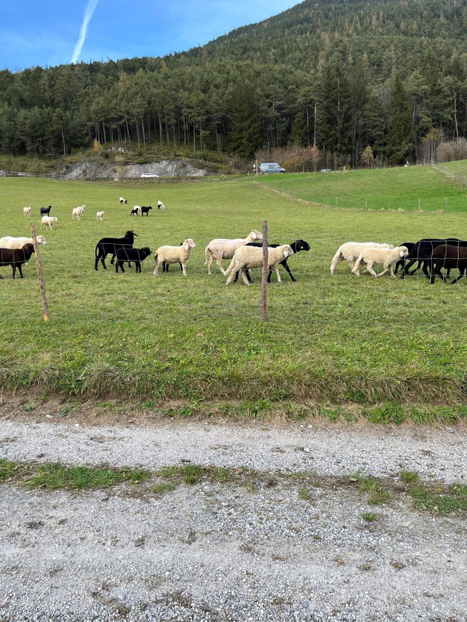 Meilerhof Reith bei Seefeld Εξωτερικό φωτογραφία