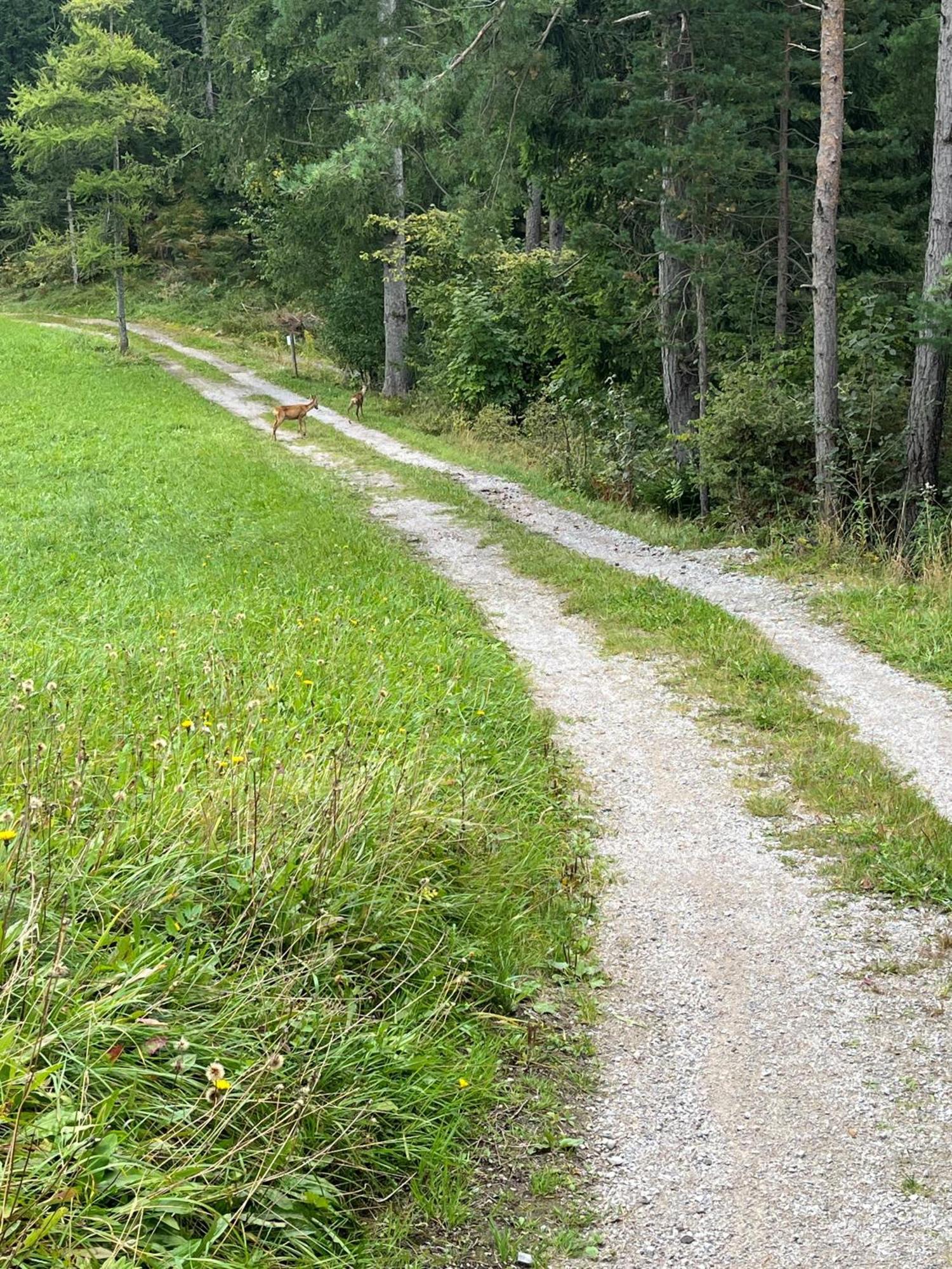 Meilerhof Reith bei Seefeld Εξωτερικό φωτογραφία